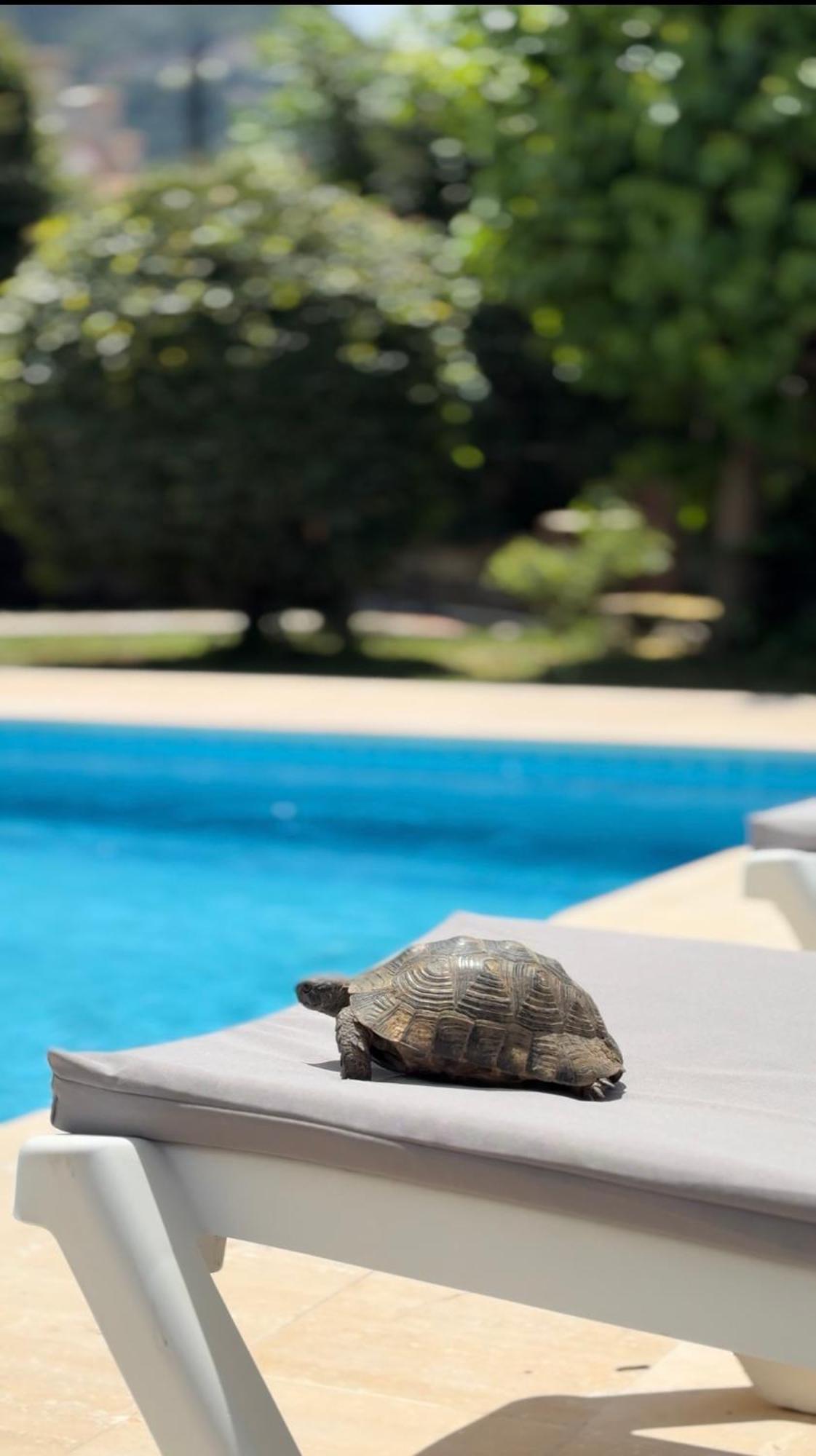 Villa Xanthos 301 Oludeniz Exterior foto